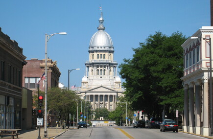 Top Notaries in Illinois